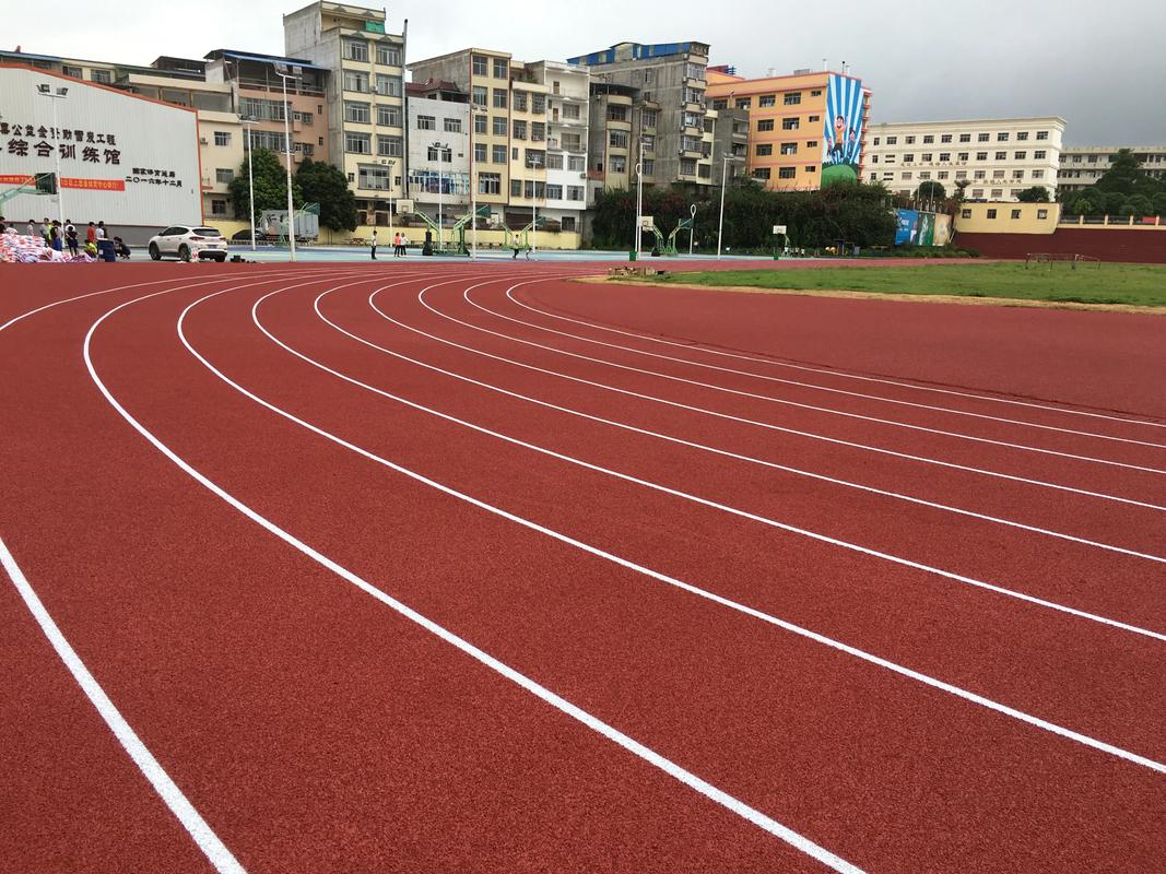 常德市学校塑胶跑道塑胶跑道材料 - 方案
